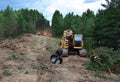 Excavator Grapple during clearing forest for new development. Tracked Backhoe with forest clamp for forestry work. Tracked timber