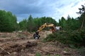 Excavator Grapple during clearing forest for new development. Tracked Backhoe with forest clamp for forestry work. Tracked timber