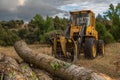 Excavator with grapple for transporting logs in a forestry operation