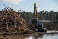 An excavator machine piling dead trees. Royalty Free Stock Photo