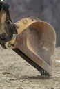 Excavator Shovel Royalty Free Stock Photo