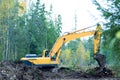 The excavator uprooting stumps Royalty Free Stock Photo