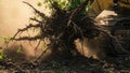 Excavator Uprooting Tree Royalty Free Stock Photo