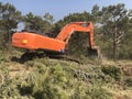 Excavator uproots stumps of cutted trees in the coniferous highland forest Royalty Free Stock Photo