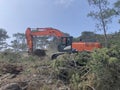 Excavator uproots stumps of cutted trees in the coniferous highland forest