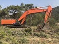 Excavator uproots stumps of cutted trees in the coniferous highland forest Royalty Free Stock Photo