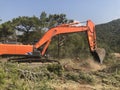 Excavator uproots stumps of cutted trees in the coniferous highland forest Royalty Free Stock Photo