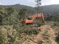 Excavator uproots stumps of cutted trees in the coniferous highland forest Royalty Free Stock Photo