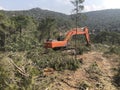 Excavator uproots stumps of cutted trees in the coniferous highland forest