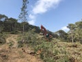 Excavator uproots stumps of cutted trees in the coniferous highland forest