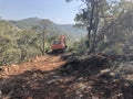 Excavator uproots stumps of cutted trees in the coniferous highland forest Royalty Free Stock Photo