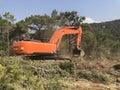 Excavator uproots stumps of cutted trees in the coniferous highland forest