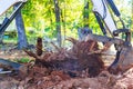 Excavator uproots trees preparing ground area for construction