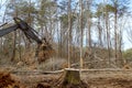 An excavator is used to uproot trees found in forest worker prepare ground for building a house