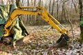 Excavator in woodland