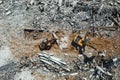 Excavators demolishing old factory for new construction project, aerial top view Royalty Free Stock Photo