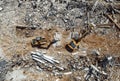 Excavators demolishing old factory for new construction project, aerial top view Royalty Free Stock Photo