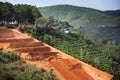 Excavators dig terraces for coffee beans plantations in Vietnam Royalty Free Stock Photo