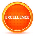 Excellence Natural Orange Round Button Royalty Free Stock Photo