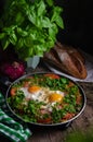 Excellent breakfast lunch - shakshuka. Fried eggs with vegetables in a frying pan Royalty Free Stock Photo