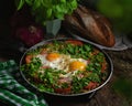 Excellent breakfast lunch - shakshuka. Fried eggs with vegetables in a frying pan Royalty Free Stock Photo