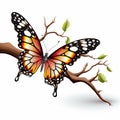 Excellent Butterfly Imagery Winged Harmony