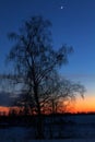 Northern nature in winter, during sunset and moonrise. Excellent illustration