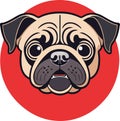Excellent and lovely pug carlino dog vector Royalty Free Stock Photo