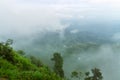 Excellent manicured Ceylon tea Royalty Free Stock Photo