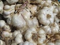 Excellent natural garlic tasty aromatic fat spices cooking