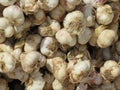 excellent natural garlic tasty aromatic fat spices cooking