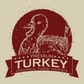 Excellent Promo Premium Turkey Meal, Vector Illustration