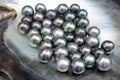 Excellent Round Tahitian Black Pearls Royalty Free Stock Photo