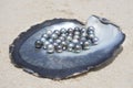 Excellent Round Tahitian Black Pearls Royalty Free Stock Photo