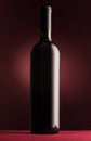 Excellent red wine bottle Royalty Free Stock Photo