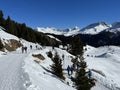 Excellently arranged and cleaned winter trails for walking, hiking, sports and recreation in the area of the Swiss resort of Arosa