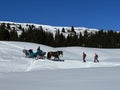 Excellently arranged and cleaned winter trails for walking, hiking, sports and recreation in the area of the Swiss resort of Arosa