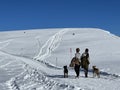 Excellently arranged and cleaned winter trails for walking, hiking, sports and recreation in the area of the Swiss resort of Arosa