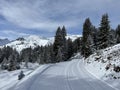 Excellently arranged and cleaned winter trails for walking, hiking, sports and recreation in the area of the resort Arosa