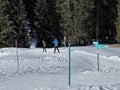 Excellently arranged and cleaned winter trails for walking and recreation in the area of the resort Valbella and Lenzerheide