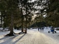 Excellently arranged and cleaned winter trails for walking and recreation in the area of the resort Valbella and Lenzerheide