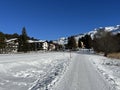 Excellently arranged and cleaned winter trails for walking and recreation in the area of the resort Valbella and Lenzerheide