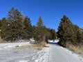 Excellently arranged and cleaned winter trails for walking and recreation in the area of the resort Valbella and Lenzerheide