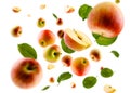 Excellently retouched multi colored apples with leaves whole halves and slices fly and levitate in space. Surround light from Royalty Free Stock Photo