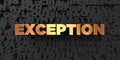 Exception - Gold text on black background - 3D rendered royalty free stock picture Royalty Free Stock Photo