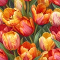 Exceptionally Dense Vibrant Seamless Tulip Blooms Pattern Royalty Free Stock Photo