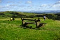 Excersing the dogs on Hoad Hill Royalty Free Stock Photo