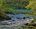 Alley Spring in the Missouri Ozarks