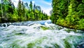 View of Murtle River during high snow melt, in Wells Gray Provincial Park, BC, Canada Royalty Free Stock Photo