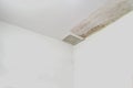 Excessive moisture can cause mold and peeling paint wall ,such as rainwater leaks or water leaks . Royalty Free Stock Photo